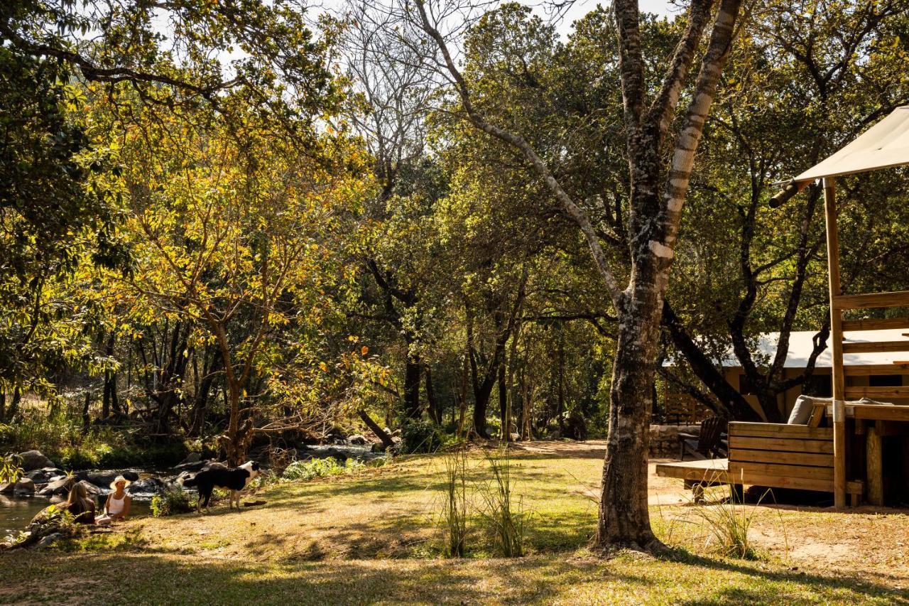 Africamps At Mackers Villa Hazyview Kültér fotó