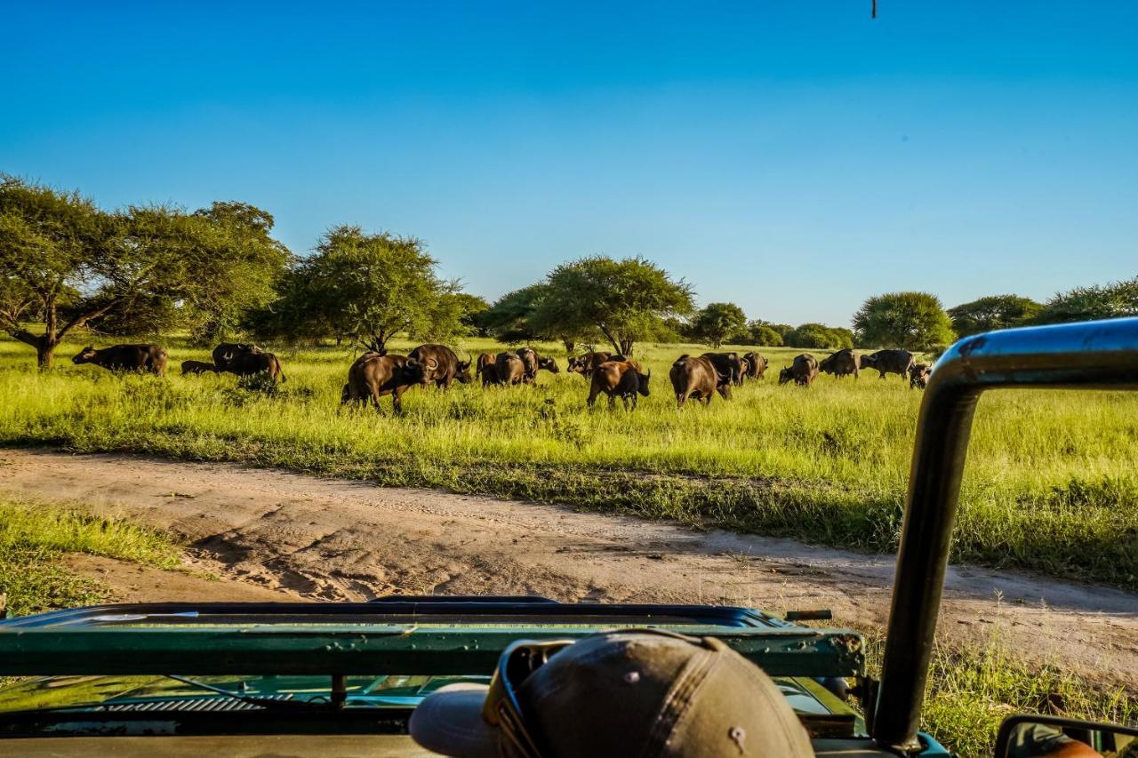 Africamps At Mackers Villa Hazyview Kültér fotó